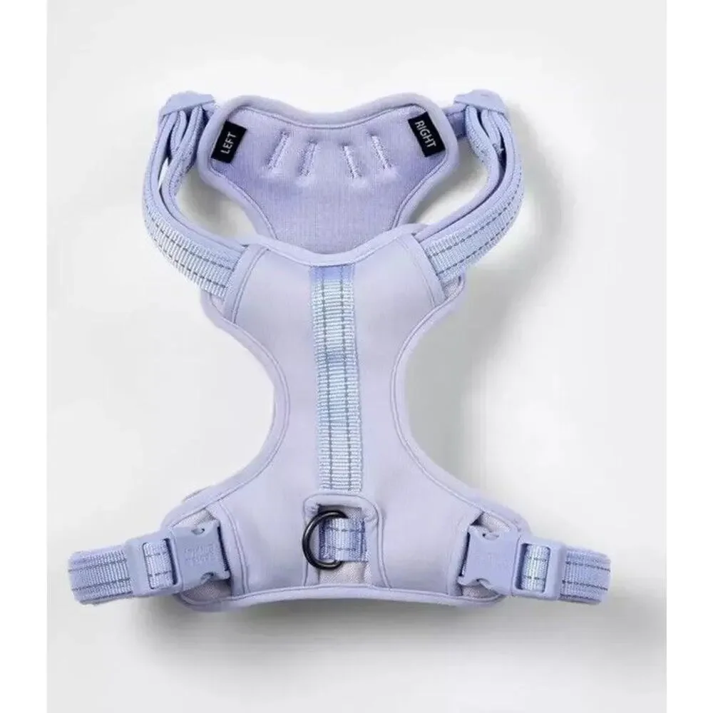 Boots & Barkley Comfort + Reflective Webbing Harness6ft Dog Leash Lilac - XS/S